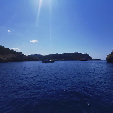 Charmant Appartement De Vacances Au Coeur D'Argeles 外观 照片