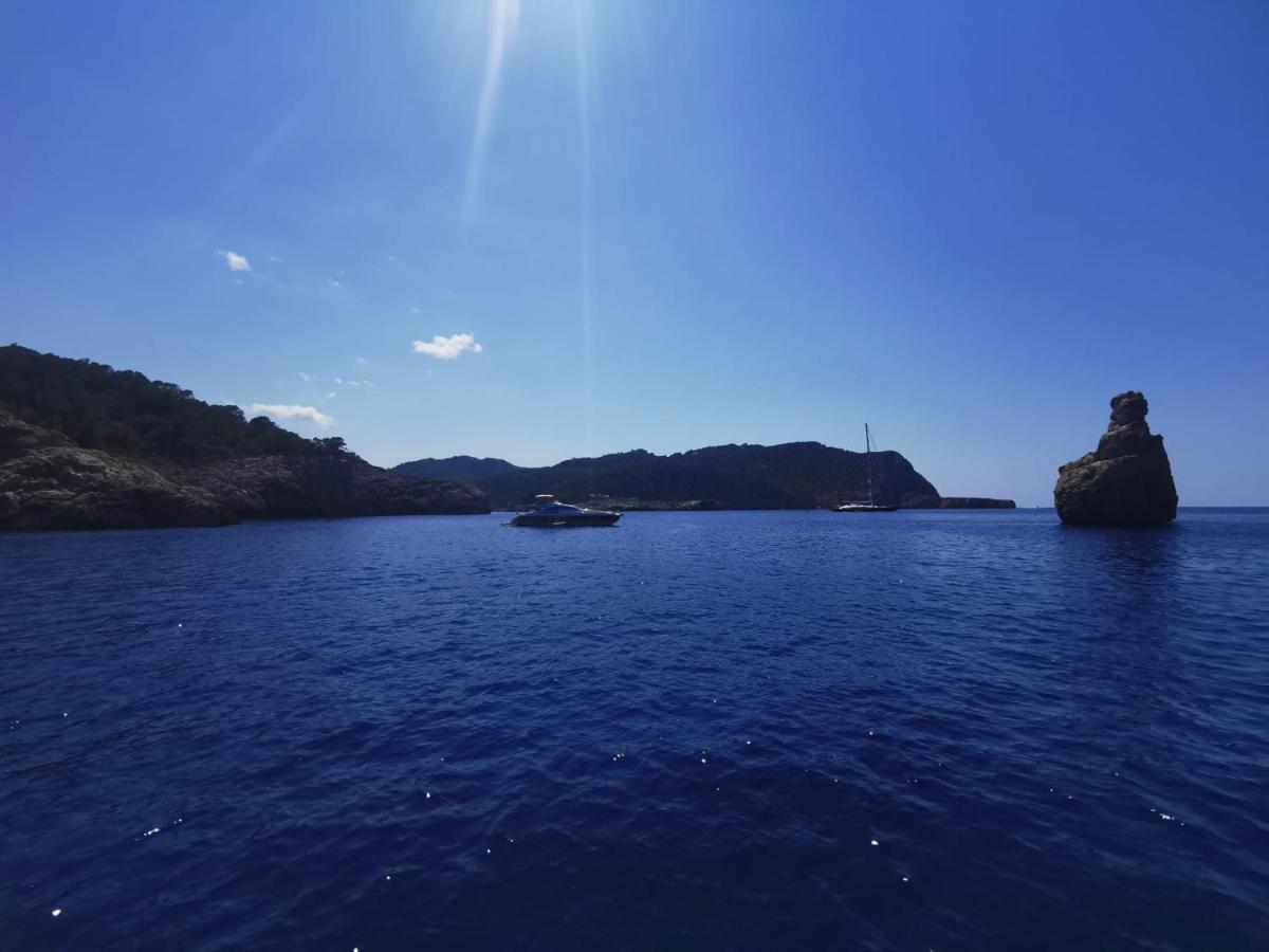 Charmant Appartement De Vacances Au Coeur D'Argeles 外观 照片